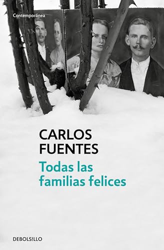 9788466333498: Todas las familias felices (Contempornea)