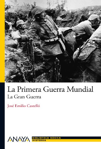 Stock image for LA PRIMERA GUERRA MUNDIAL. LA GRAN GUERRA for sale by KALAMO LIBROS, S.L.