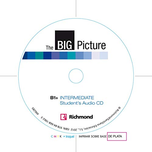 Stock image for livro big picture b1 intermediate workbook bess bradfield 2012 for sale by LibreriaElcosteo