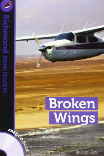 Imagen de archivo de Broken wings, level 6 (Robin Readers) a la venta por medimops