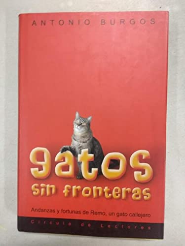 Imagen de archivo de Gatos sin fronteras: andanzas y fortunas de Remo, un gato callejero a la venta por medimops