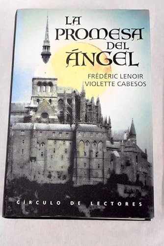 Imagen de archivo de LA PROMESA DEL NGEL a la venta por Librovicios