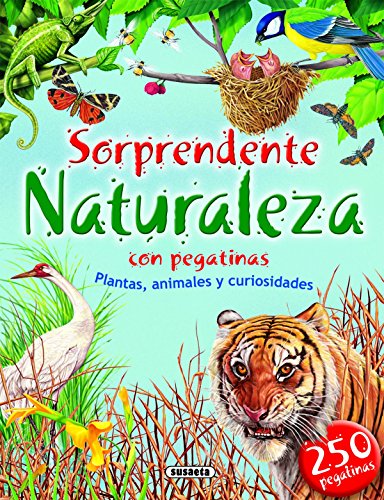 Sorprendente naturaleza con pegatinas (Spanish Edition) (9788467708349) by Cancio, EloÃ­sa; Socolovsky, Gisela; Grez, Marcela