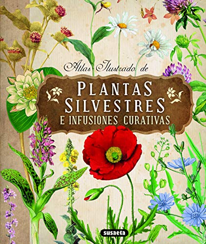 9788467722864: Atlas Ilustrado de Plantas Silvestres E Infusiones Curativas