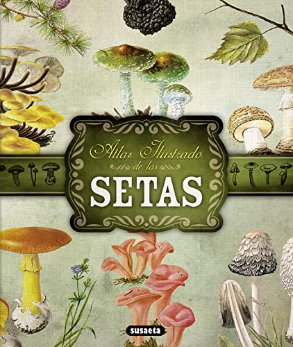 Atlas ilustrado de las Setas. - VV.AA.