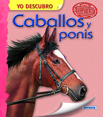 Beispielbild fr Caballos y ponis (Yo descubro) zum Verkauf von medimops