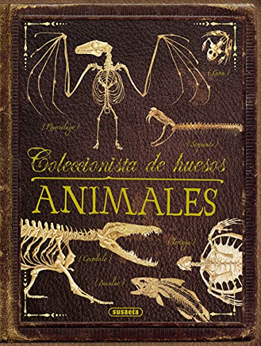 Imagen de archivo de COLECCIONISTA DE HUESOS ANIMALES a la venta por Antrtica