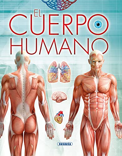 9788467740066: El cuerpo humano (Biblioteca esencial)