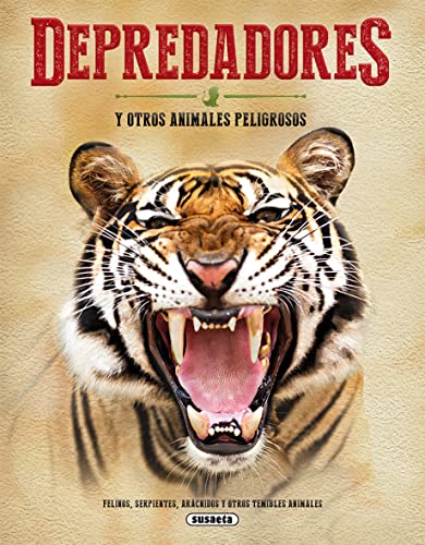  El rey León. Gran libro de la película: 9788499511948: Jaime  Paino de Pedro: Books