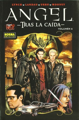 ANGEL. TRAS LA CAÃDA 6 (Spanish Edition) (9788467905977) by Lynch, Brian; Landau, Juliet; Urru, Franco