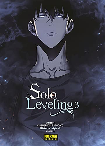 Solo leveling (Vol. 13) : Chugong, h-goon, Dubu (Redice Studio), Daviddi,  Sabrina, Calistri, Ilmia: : Livres