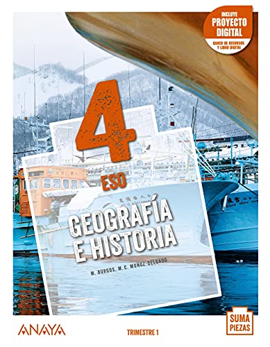 Stock image for Geografa e Historia 4. for sale by medimops