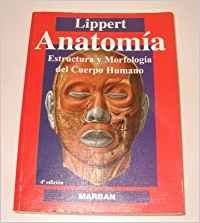 9788471012135: Anatomia 4b* Ed. - Estructura y Morfologia del Cuerpo Humano (Spanish Edition)