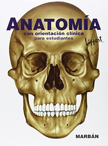 Imagen de archivo de Anatoma con orientacin clnica para estudiantes lippert a la venta por Iridium_Books