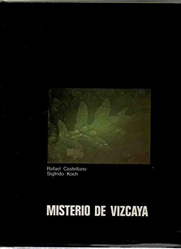 Beispielbild fr Misterio de Vizcaya zum Verkauf von Hamelyn