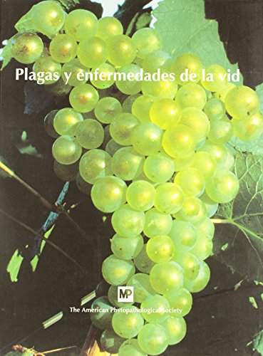 9788471146076: Plagas y enfermedades de la vid (Patologa Vegetal)