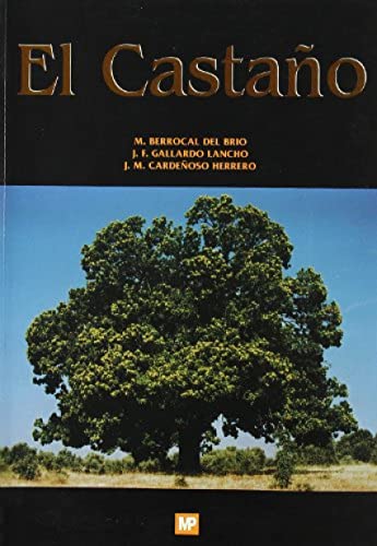 Beispielbild fr EL CASTAO zum Verkauf von Siglo Actual libros