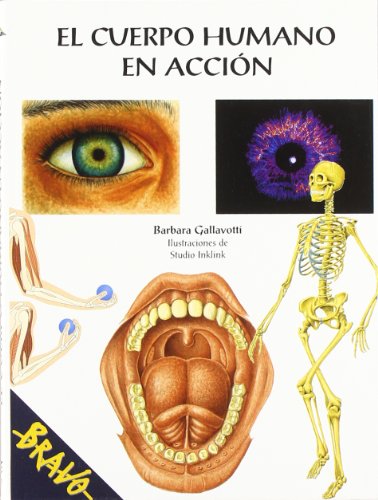 Stock image for El Cuerpo Humano en Acci n for sale by Better World Books: West