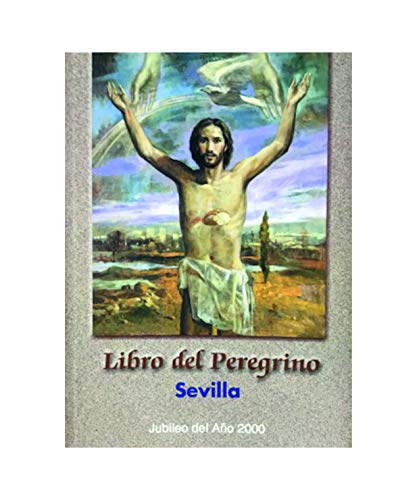 Stock image for Libro del peregrino for sale by medimops