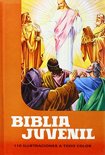 Imagen de archivo de Biblia Juvenil 1 tomo Mod. 1 (Spanish Edition) a la venta por Books From California