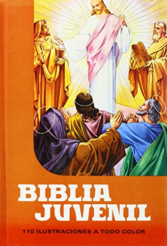 Stock image for Biblia Juvenil 1 tomo Mod. 1 for sale by ThriftBooks-Dallas