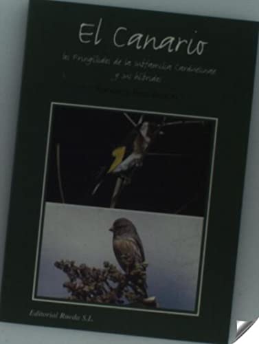 Imagen de archivo de El canario a la venta por Agapea Libros