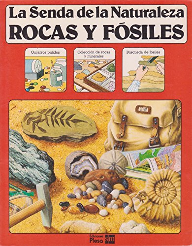 9788473741415: ROCAS Y FOSILES (T)