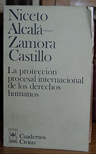La protección procesal internacional de los derechos humanos - Alcala ...