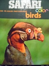 Beispielbild fr Safari Color Birds zum Verkauf von Better World Books