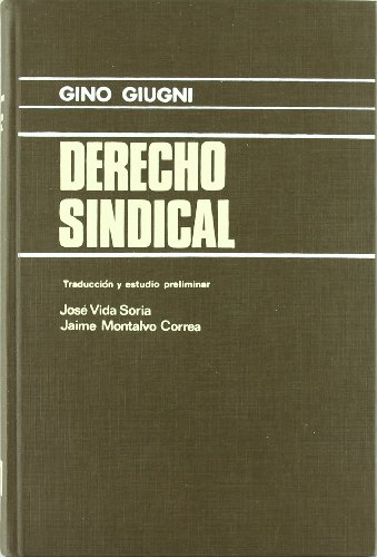 Imagen de archivo de Derecho sindical (Coleccion Manuales y obras generales) (Italian Edition) a la venta por Iridium_Books