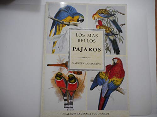 Beispielbild fr LOS MAS BELLOS PAJAROS zum Verkauf von La Clandestina Books