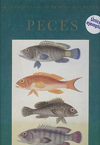 Beispielbild fr Peces - Grabados Clasicos de Historia Natural zum Verkauf von medimops