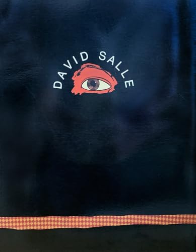 Stock image for David Salle. 15. Dezember 1988 - 29. Januar 1989, Staatsgalerie Moderner Kunst Mnchen, for sale by modernes antiquariat f. wiss. literatur