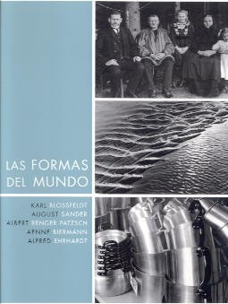 Beispielbild fr Las Formas Del Mundo - Blossfeldt, Sander, Renger-Patsch, Biermann, Ehrhardt zum Verkauf von Art Data