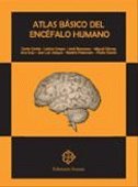 9788477682035: Atlas bsicos del encfalo humano