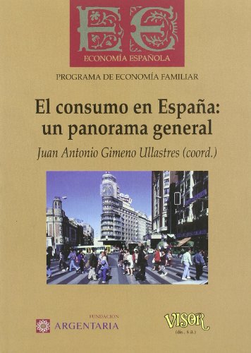 Imagen de archivo de El consumo en Espaa: un panorama fgeneral a la venta por Ammareal