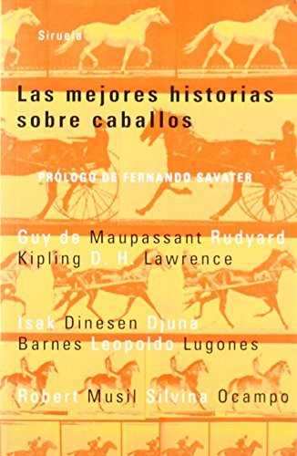 Beispielbild fr Las mejores historias sobre caballos zum Verkauf von Librera Prez Galds