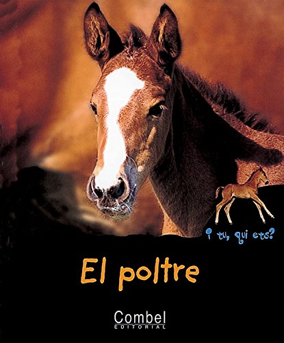 Beispielbild fr El poltre (I tu, qui ets? Animals) zum Verkauf von medimops