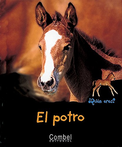 Stock image for El Potro for sale by Hamelyn