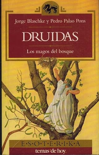 Stock image for Druidas, los magos del bosque for sale by Librera Prez Galds