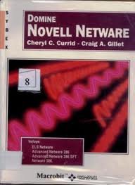 Imagen de archivo de Domine Novell Netware a la venta por Els llibres de la Vallrovira