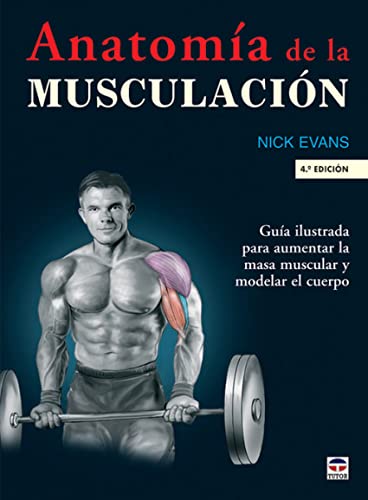 9788479026431: ANATOMA DE LA MUSCULACIN (SIN COLECCION)