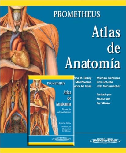 Stock image for Atlas de anatomia/ Atlas of Anatomy: Prometheus (Spanish Edition) [Hardcover]. for sale by Iridium_Books