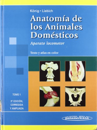 9788479037468: Anatomia De Los Animales Domesticos/ Anatomy of the Domestic Animals: Texto Y Atlas En Color: Aparato Locomotor