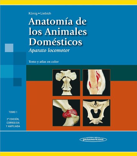 Stock image for Anatomia de los animales domesticos / Anatomy of domestic animals: Aparato locomotor. Organos, sistema circulatorio y sistema nervioso / . System and Nervous System (Spanish Edition) for sale by Iridium_Books