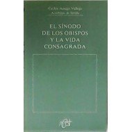 Stock image for Snodo de los obispos y la vida consagrada, El. for sale by La Librera, Iberoamerikan. Buchhandlung