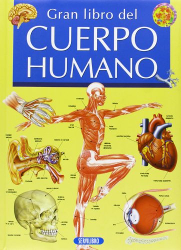 Imagen de archivo de Gran libro del cuerpo humano a la venta por LibroUsado GRAN VA