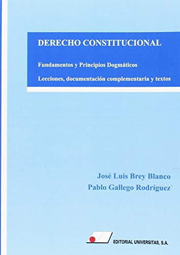 Imagen de archivo de DERECHO CONSTITUCIONAL: FUNDAMENTOS Y PRINCIPIOS DOGMTICOS. LECCIONES, DOCUMENTACIN COMPLEMENTARIA Y TEXTOS a la venta por KALAMO LIBROS, S.L.
