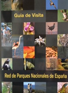 Imagen de archivo de GUA DE VISITA DE LA RED DE PARQUES NACIONALES DE ESPAA a la venta por Librera Prez Galds