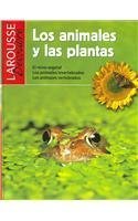 Beispielbild fr Los animales y las plantas / The animals and the plants zum Verkauf von Ammareal